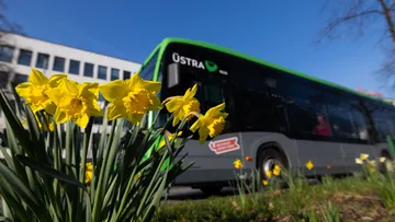 Die ÜSTRA hat einen Meilenstein beim Klimaschutz erreicht: Im Jahr 2025 lag der CO₂-Ausstoß des Stadtbus- und Stadtbahnbetriebs erstmals unter der Marke von zehn Gramm pro Personenkilometer.