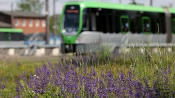 Stadtbahn fährt durch blühende Landschaft