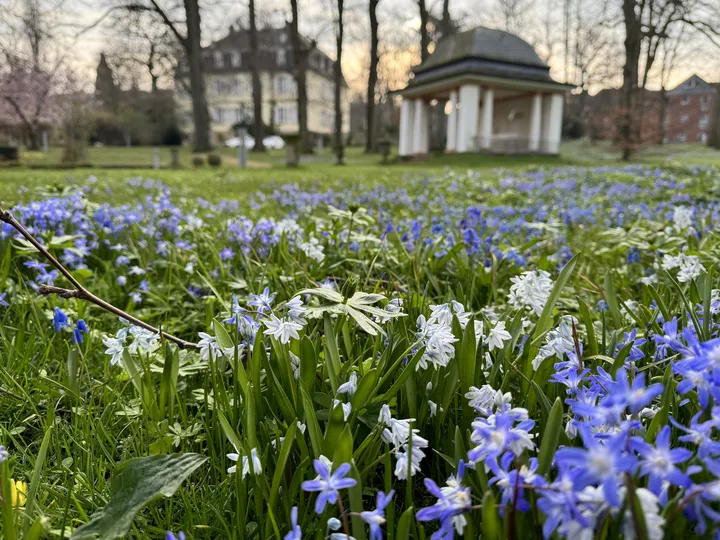 Sonnengarten im Kurpark Bad Nenndorf zur Landesgartenschau 2026