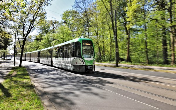 TW3000 fährt durchs Grüne bei Sonnenschein