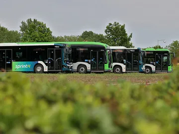 Vier Busse von regiobus und ÜSTRA stehen versetzt nebeneinander in der Seitenansicht.